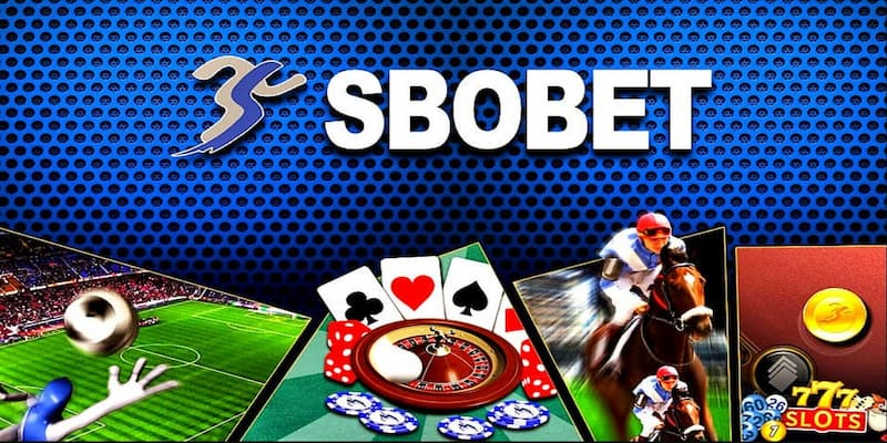 Giới thiệu sơ lược về sảnh Sbobet SV388